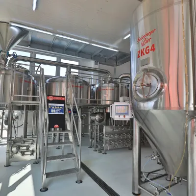 20HL Micro Brewery System Project-Sweden
