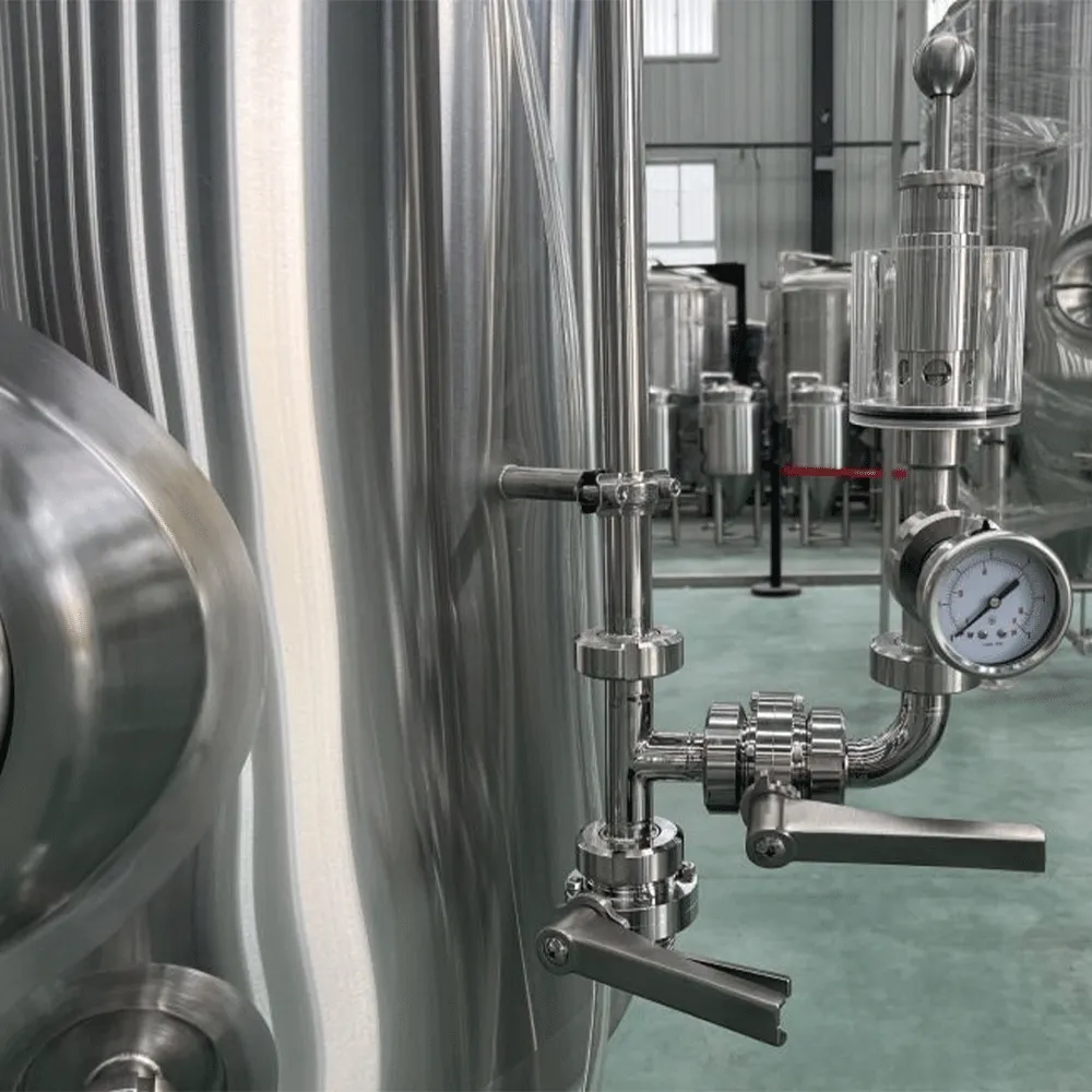300L Side Manhole Fermenter