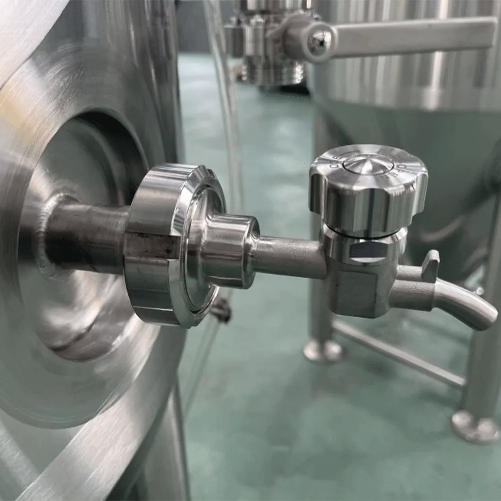 300L Side Manhole Fermenter