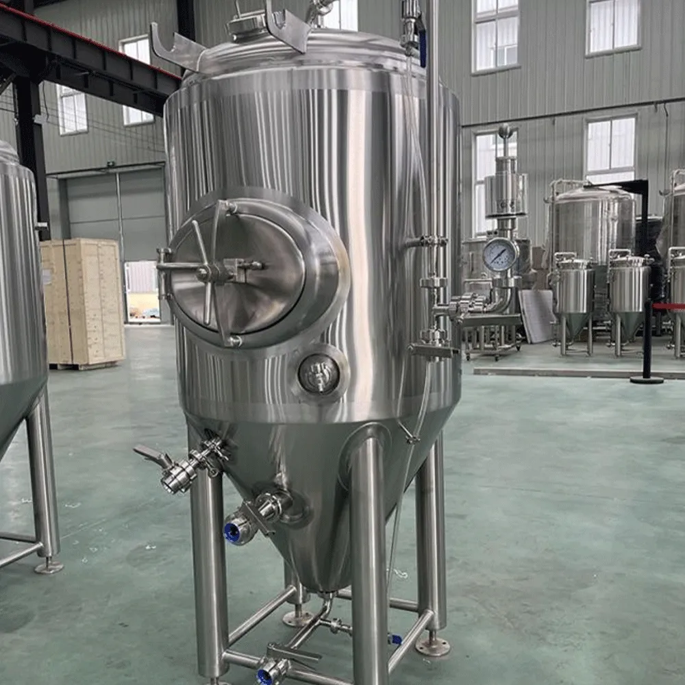 300L Side Manhole Fermenter