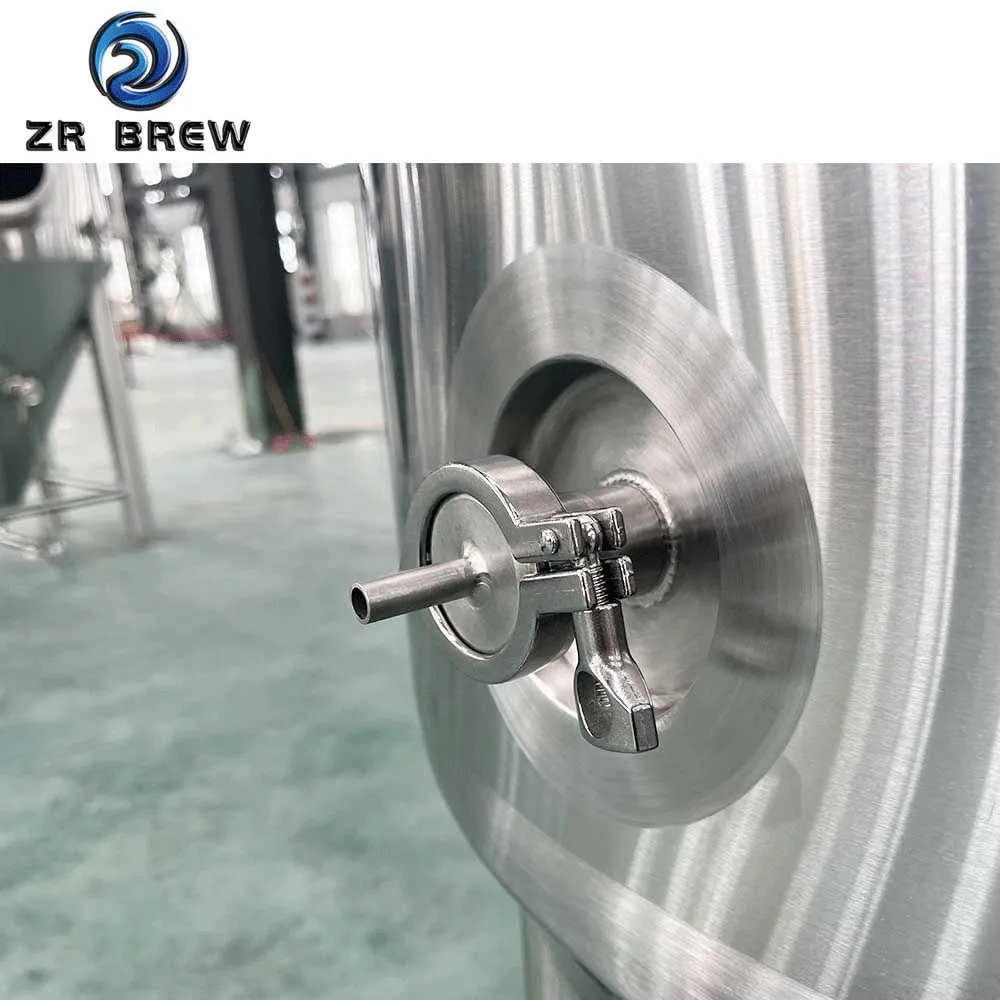300L Top Manhole Fermenter