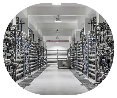 Automated Brewing System
