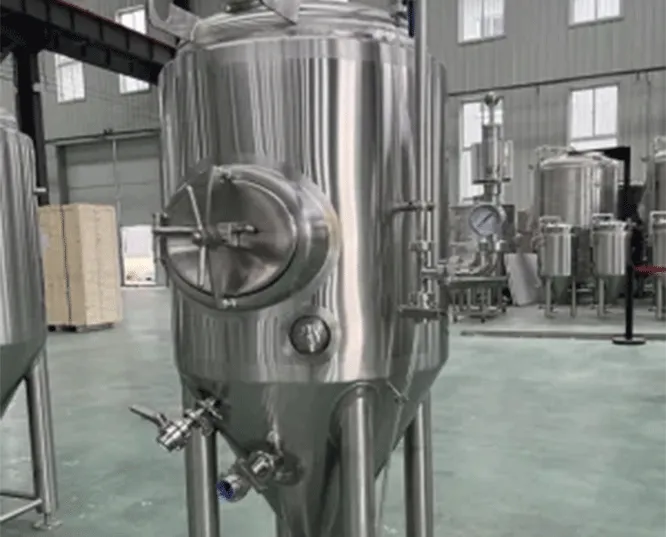 300L Side Manhole Fermenter