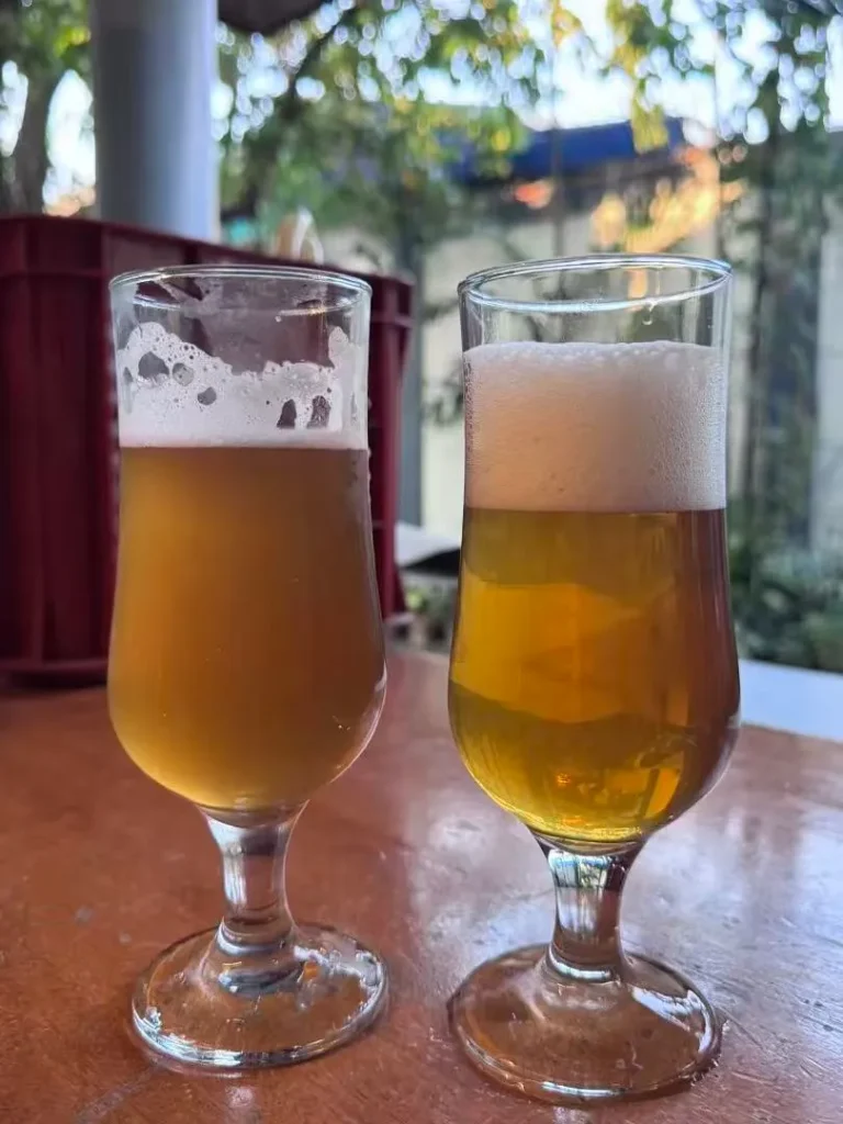 Philippines Customer Feedback: Plate Filter Improves Beer Clarity for Craft Brewery 5 Philippines Customer Feedback: Plate Filter Improves Beer Clarity for Craft Brewery