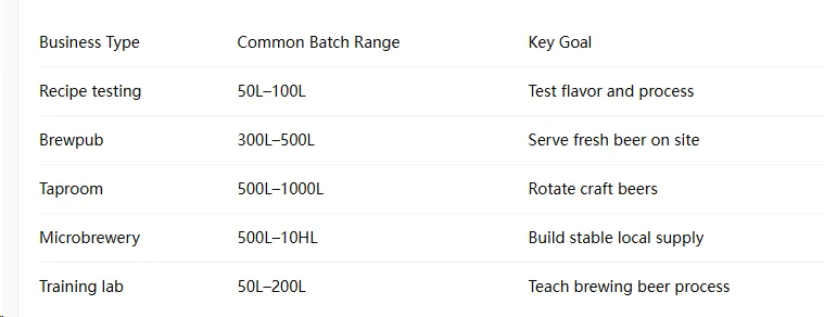 Small Batch Brewery Equipment Guide: How to Choose the Right Brew System for Your Brewery
