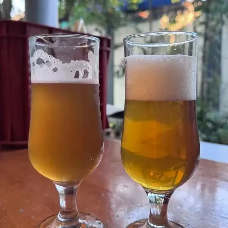 Retour d'expérience d'un client aux Philippines : Le filtre à plaques améliore la clarté de la bière pour une brasserie artisanale