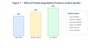 What Really Happens During Mashing? Starch, Protein & Beta-Glucan Breakdown Explained 7 What Really Happens During Mashing? Starch, Protein & Beta-Glucan Breakdown Explained